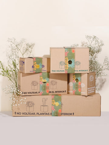 regalos-con-empaque-de-regalo-dia-de-la-madre-habibi-plantitas.jpg
