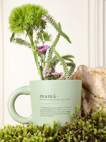 • Set de Té Premium Valle Mágico Para Mamá