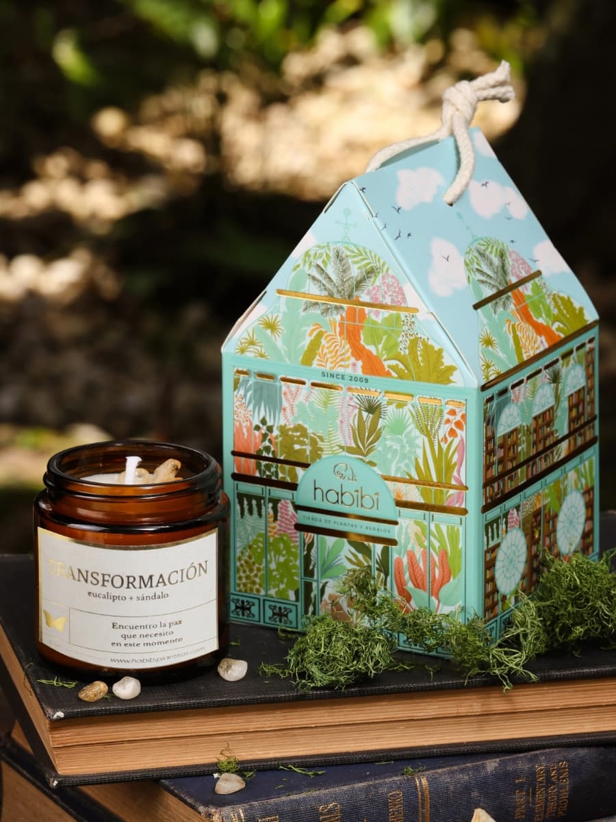 • Casita Condolencias