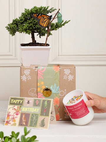Kit Magic Birthday