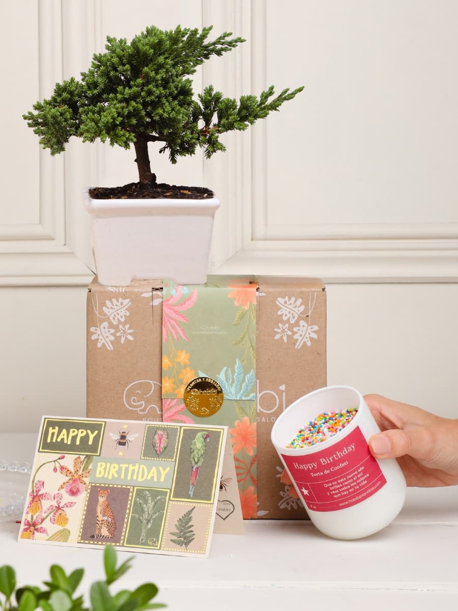 • Kit Magic Birthday