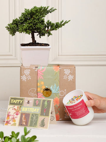 • Kit Magic Birthday