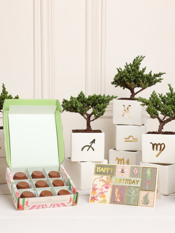 Kit Chocotherapy