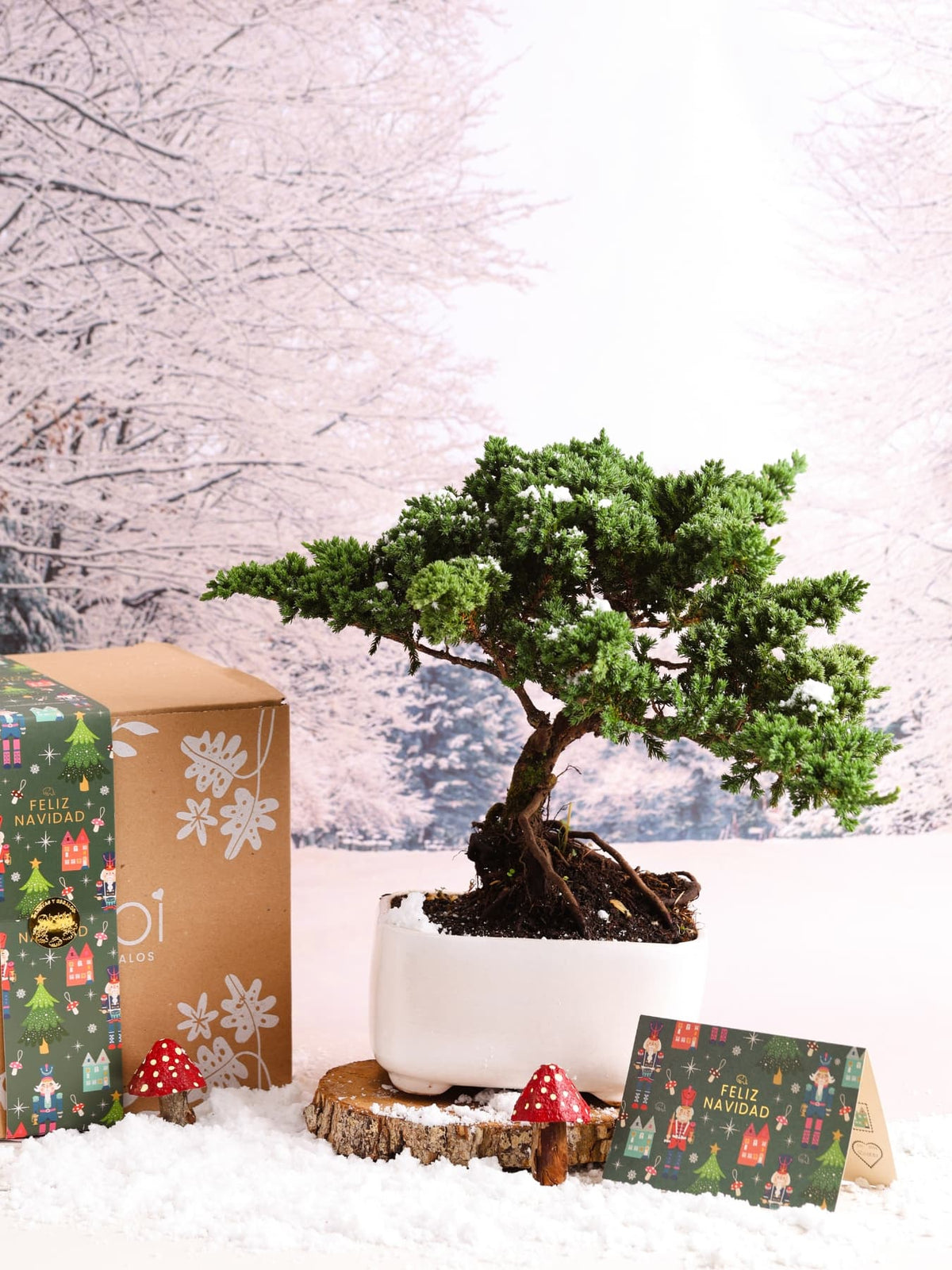 Bonsai Ikigai Holiday Edition