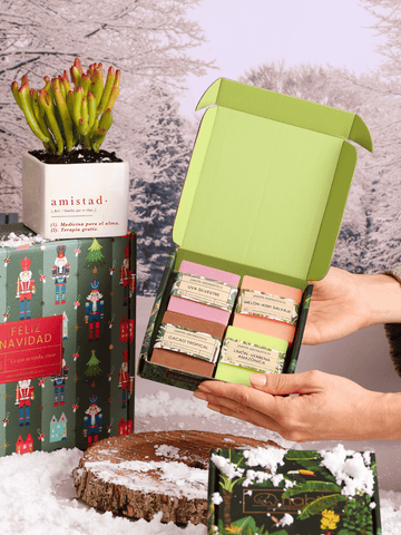 Kit Amistad, Pausa Tropical