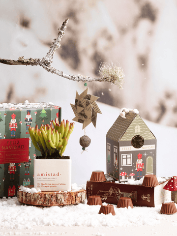 Kit Amistad, Secretos del Polo Norte Premium