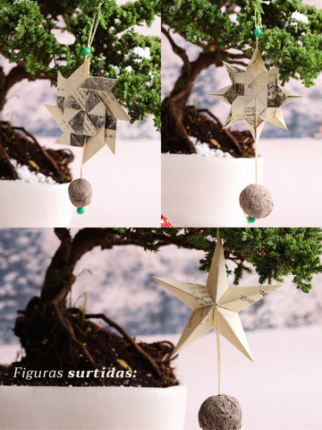 Kit Familia, Secretos del Polo Norte Premium