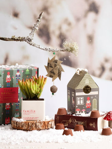 Kit Familia, Secretos del Polo Norte Premium