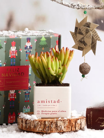 Kit Amistad, Secretos del Polo Norte