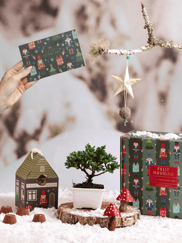 Kit Trineo De Santa Premium