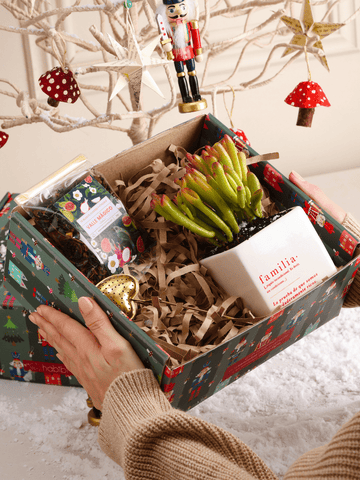 Kit Familia, Home Sweet Home