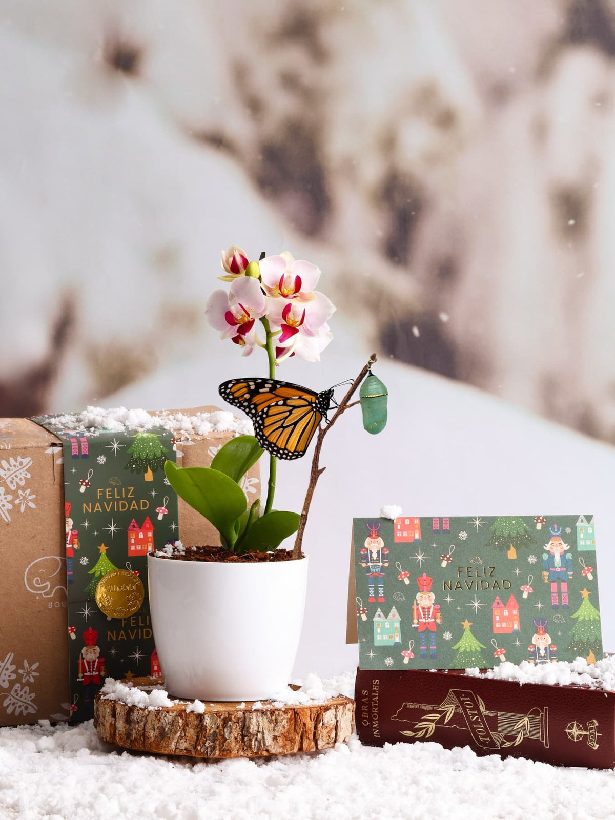 Kit Magia de Navidad