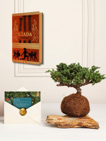 Kokedama Pino Con Libro Para Papá (Ilíada Edición Especial)