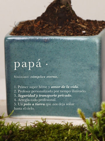Matera Verde Papá con Pachira Baby