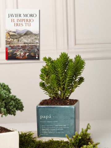 Matera Papá con Suculenta o Cactus con Libro
