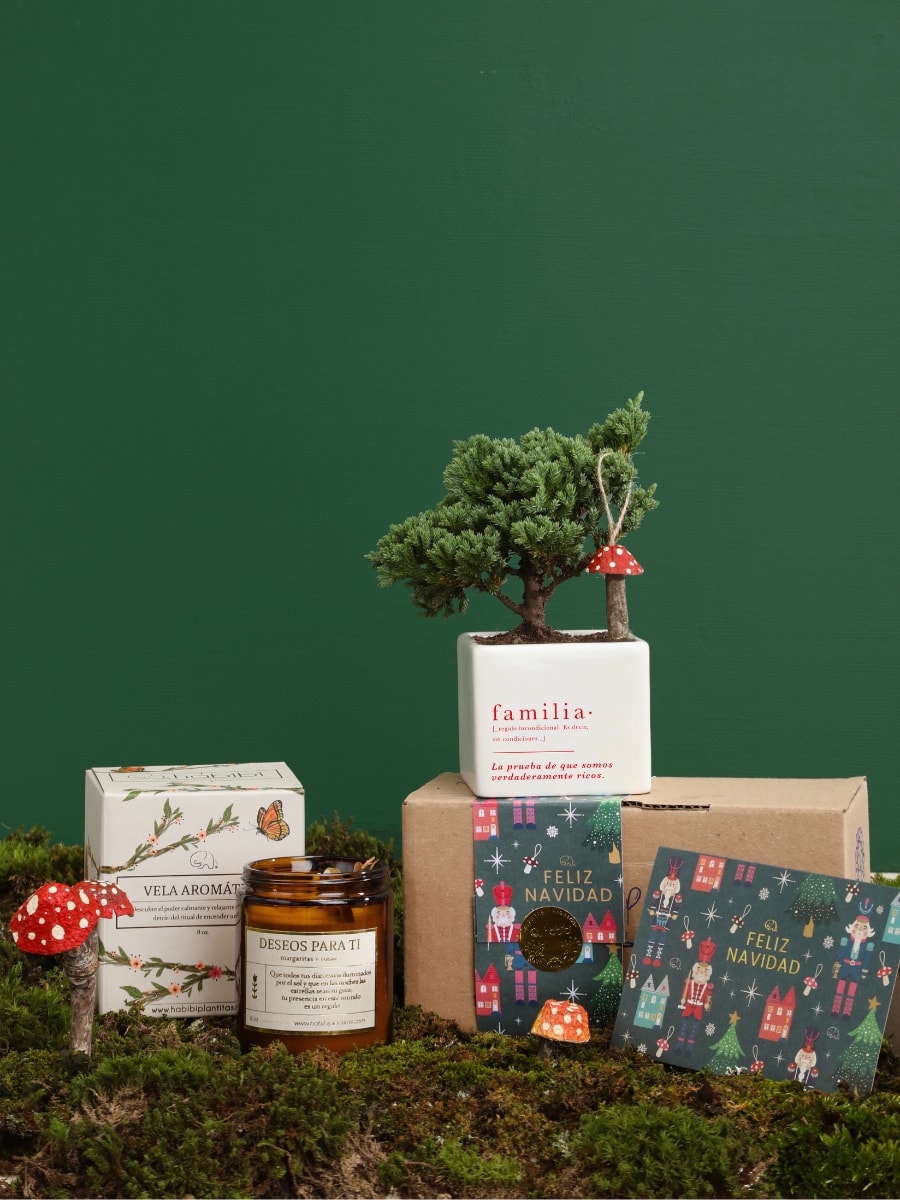 • Kit de Regalo Familia