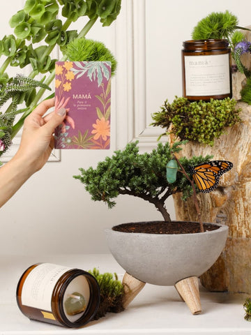 Kit Mamá, Amor Eterno