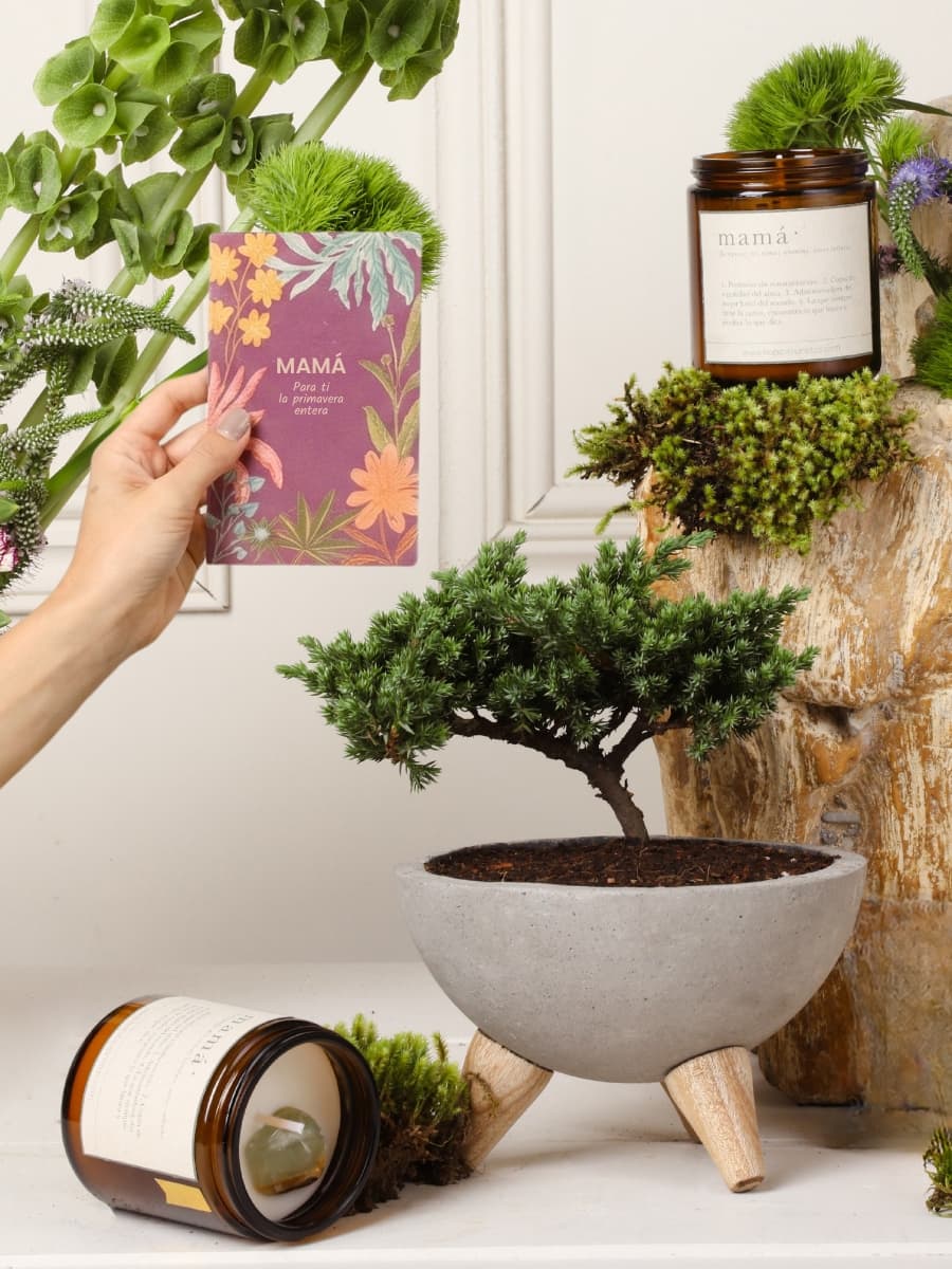 Kit Mamá, Amor Eterno