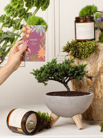 Kit Mamá, Amor Eterno