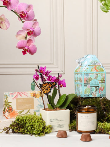 Kit Mamá, Jardin Encantado