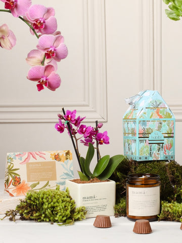 Kit Mamá, Jardin Encantado
