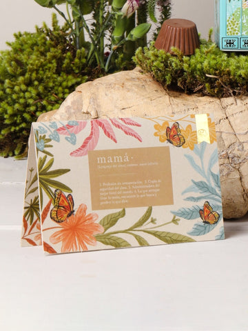 Matera Mamá con Suculenta o Cactus