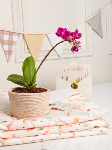 Kit Jardin Mágico