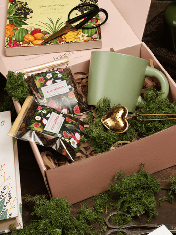 Set de Té Premium Valle Mágico + Pocillo