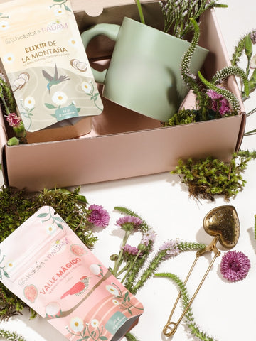 Set de Té Orgánico | Padam + Habibi