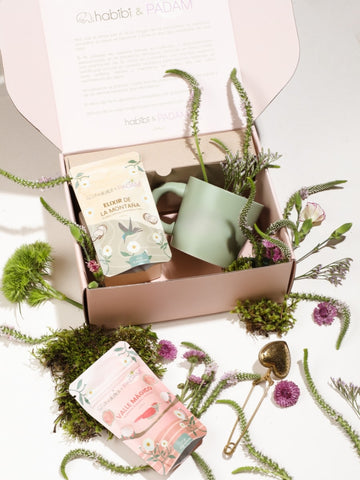 Set de Té Orgánico | Padam + Habibi