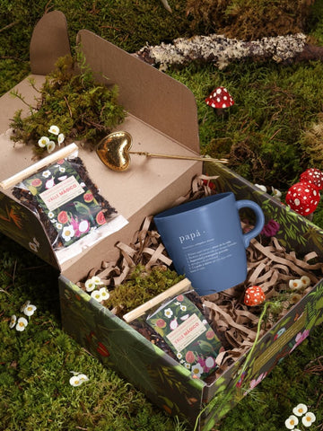 Set de Té Premium Valle Mágico Para Papá