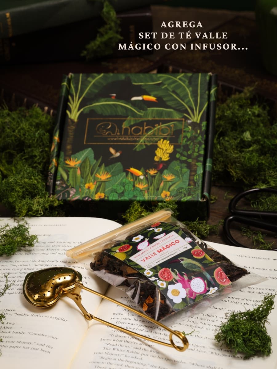 Set de té Valle Mágico con infusor dorado en forma de corazón, té blanco con pitahaya y guayaba, edición botánica, toque especial Habibi