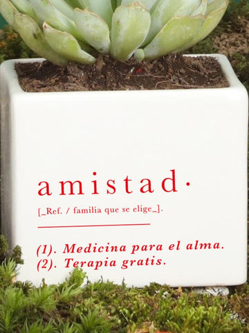 Matera Amistad con Suculenta