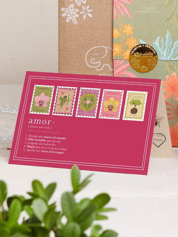 Mini Bromelia Blossom en Cara Nordica