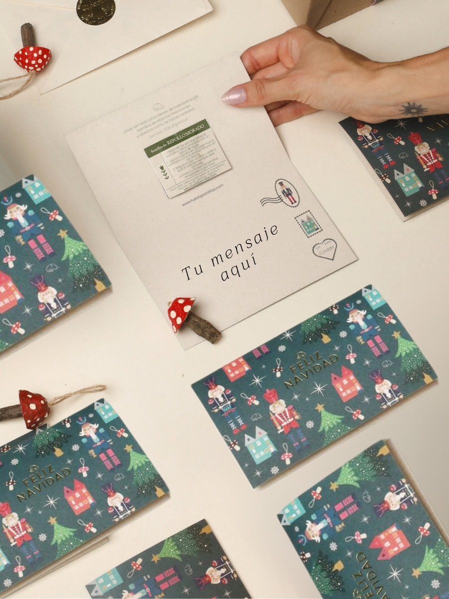 Bonsai Kokedama Pino 3 años