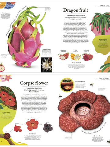 The Secret World Of Plants