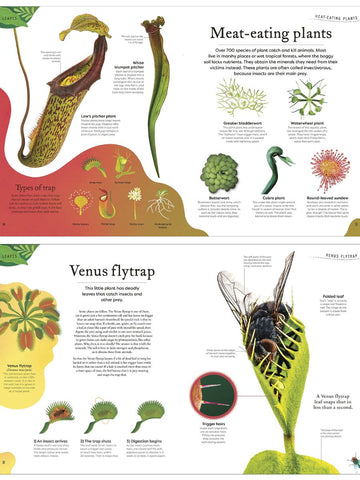 The Secret World Of Plants