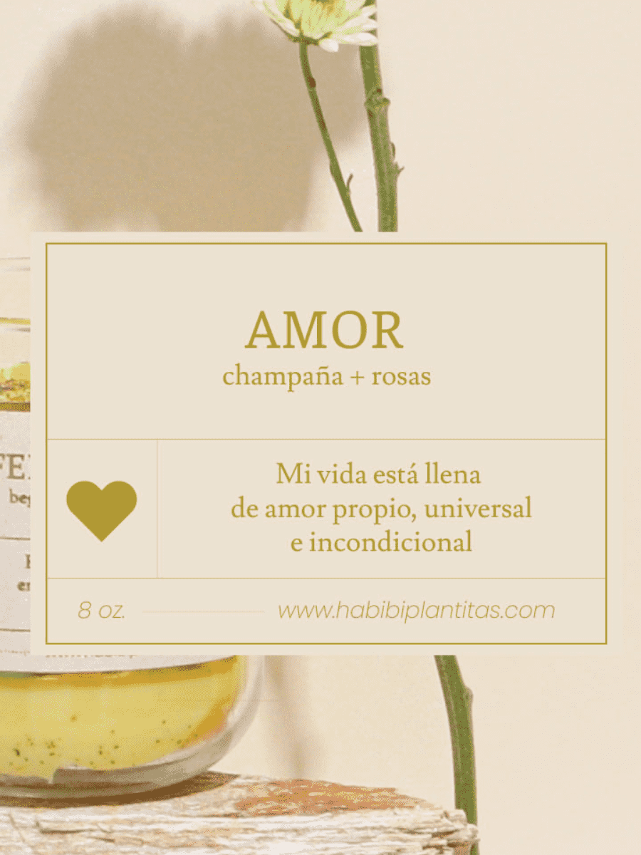 vela-aromatica-abundancia-deseos-regalos-con-velas-regalos-dia-de-la-madre-habibi-plantitas_8a668f88-1d0e-4911-b497-769ff59ca4e1.png
