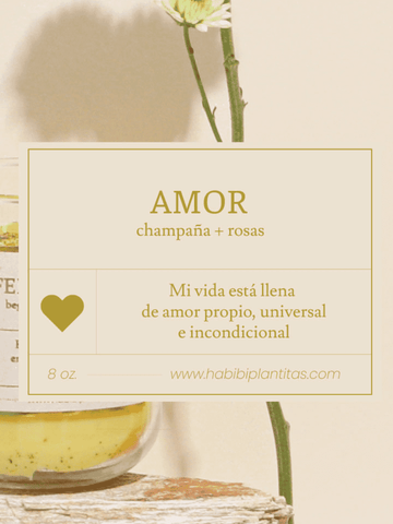 vela-aromatica-abundancia-deseos-regalos-con-velas-regalos-dia-de-la-madre-habibi-plantitas_8a668f88-1d0e-4911-b497-769ff59ca4e1.png