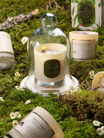 Vela Aromática con Campana de Cristal