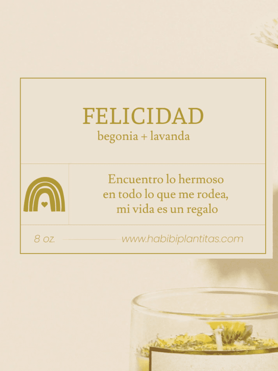 vela-aromatica-amor-deseos-regalos-con-velas-regalos-dia-de-la-madre-habibi-plantitas_d7444f3f-9598-4f49-9bb3-723f784642e0.png
