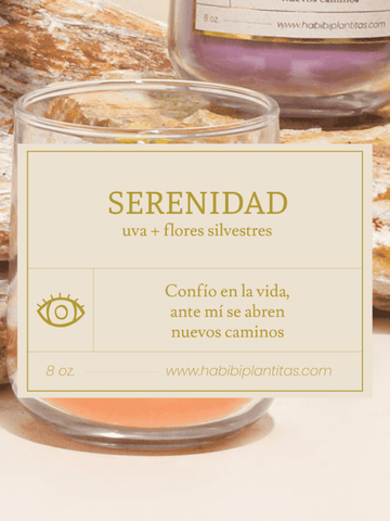 vela-aromatica-salud-deseos-regalos-con-velas-regalos-dia-de-la-madre-habibi-plantitas_fa8a5cad-2bef-48ac-b98a-ae0f7d5be0bd.png