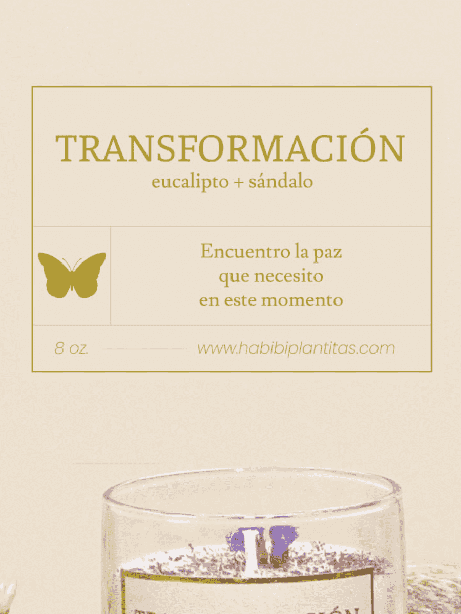 vela-aromatica-transformacion-deseos-regalos-con-velas-regalos-dia-de-la-madre-habibi-plantitas.png