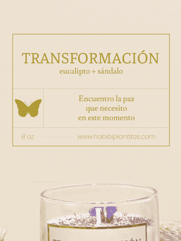 vela-aromatica-transformacion-deseos-regalos-con-velas-regalos-dia-de-la-madre-habibi-plantitas.png