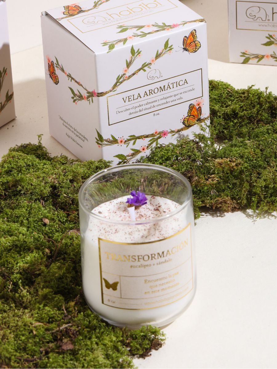 • Vela Transformación
