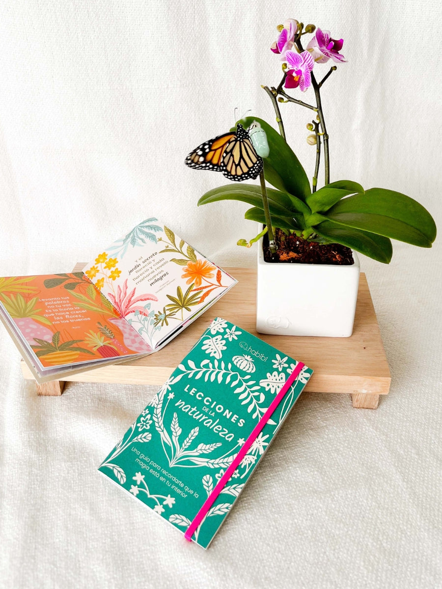 FotosProductoShopify900x1200px.jpg