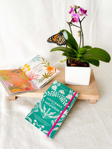 FotosProductoShopify900x1200px.jpg