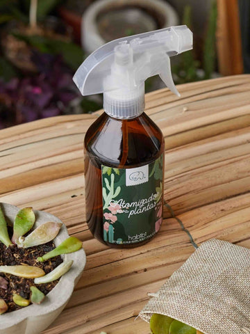 atomizador-de-agua-para-plantas-de-interior-en-spray-jardineria-en-casa-cuidado-de-plantas-habibi-plantitas.jpg