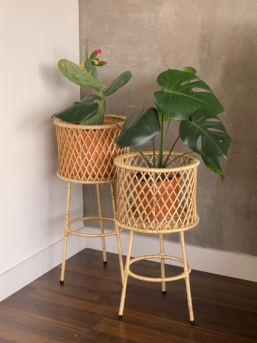 canasto-en-mimbre-para-plantas-cestas-decorativas-plantas-de-interior-decoracion-macetas-para-plantas-habibi-plantitas.jpg
