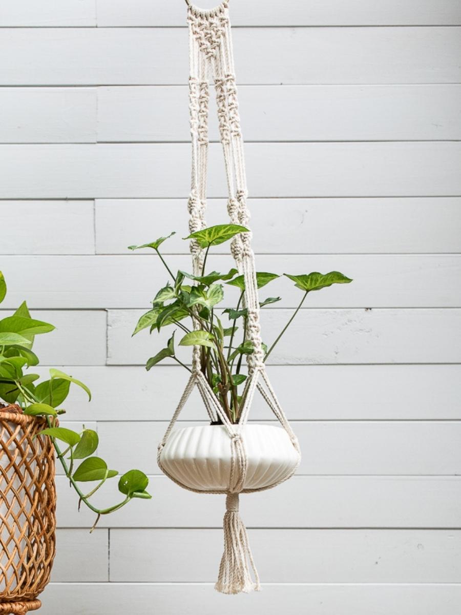 decoracion-con-plantas-maceta-de-colgar-maceta-de-techo-macrame-con-plantas-de-interior-habibi-plantitas.jpg